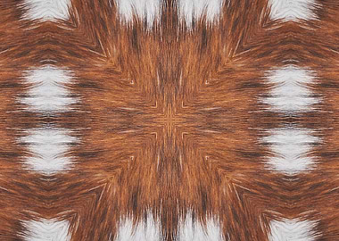 abstrat on animal fur