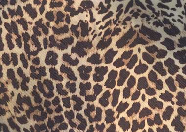 abstract leopard fur