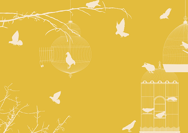 Pigeons and bird cages