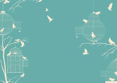 Pigeons and bird cages