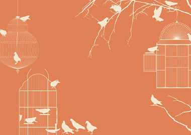 Pigeons and bird cages