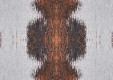 abstrat on animal fur
