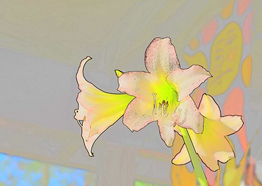 Lilies on the Porch