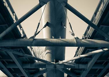 Nap in the spring sun