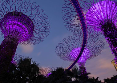 Gardens by the bay