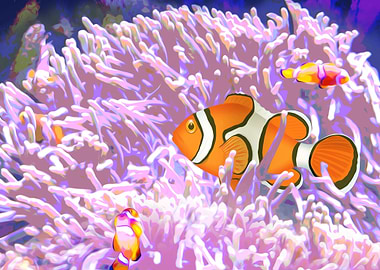 Clown Anemonefish