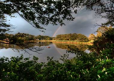 Rainbow through Trees