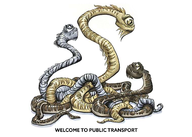 Public Transport