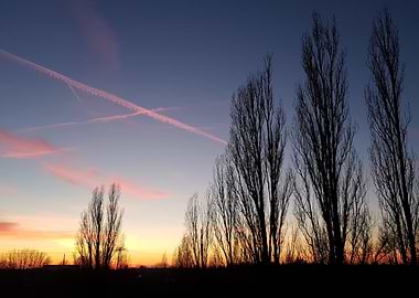 Contrails at Sunset
