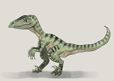 Velociraptor illustration