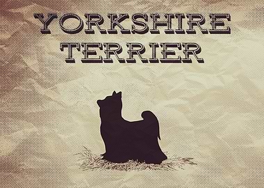 Retro Yorkshire Terrier