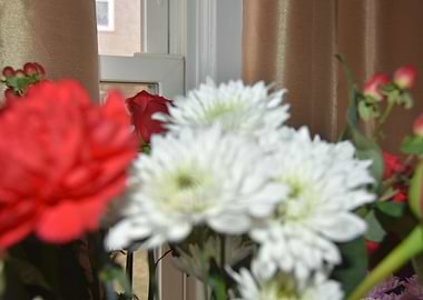 Red and white blooms