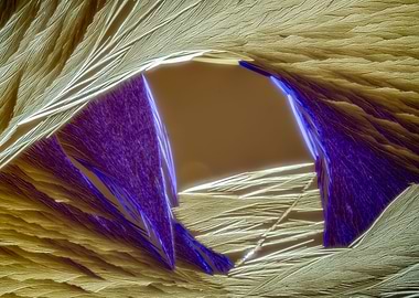 Into the Other World I