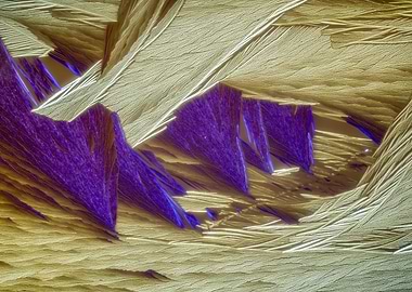 Into the Other World III