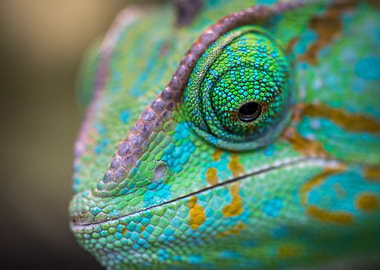 Chameleon macro