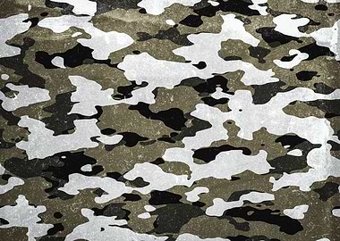 Urban Camouflage