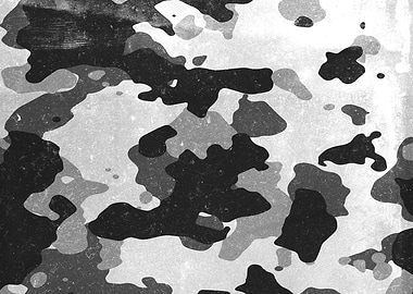 Urban Camouflage