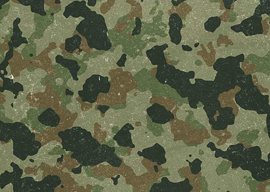 Woodland Camouflage