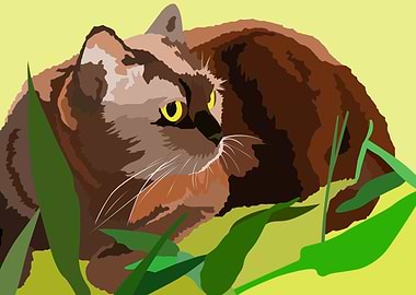 Choco the cat