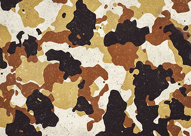 Desert Camouflage