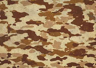 Desert Camouflage