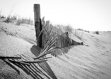 High Key Beach Sand Dunes