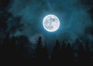 Moon beyond the pines