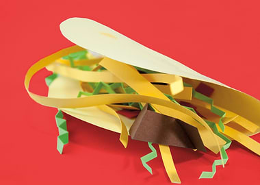 Paper Taco