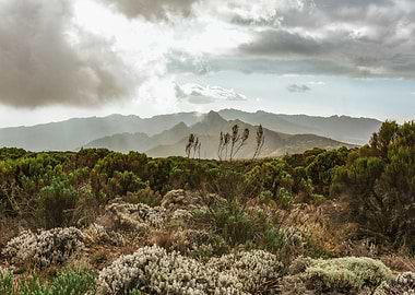 From This Perspective on a