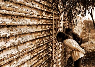 Looking for Promised Land