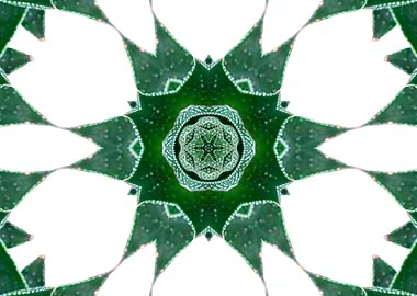 kaleidoscope modern design