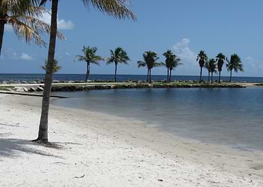 Saltwater Pool Meets Ocean
