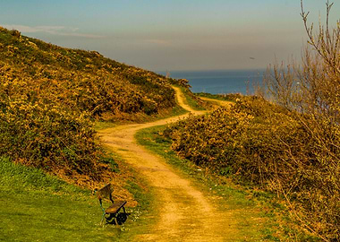 The way to Finisterra