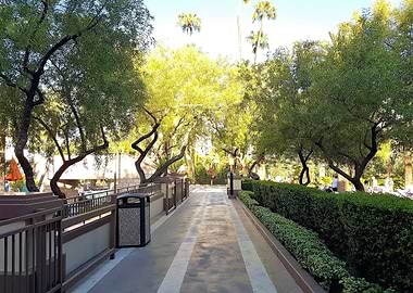 Trees in Vegas resort