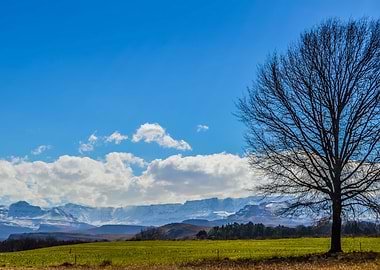 Drakensberg snow