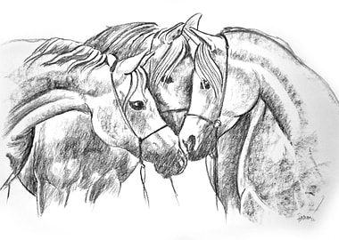 horses