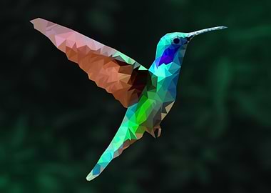 Hummingbird Polyart