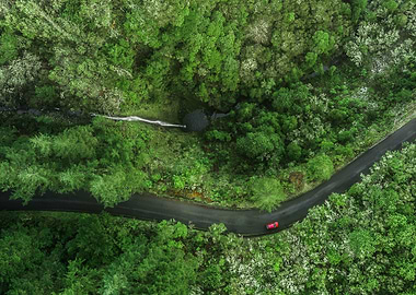 Waterfall beside a road