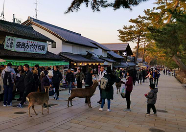 Nara shopping street