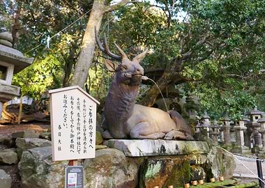 Nara Park Fountain