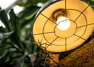 Safari Lighting