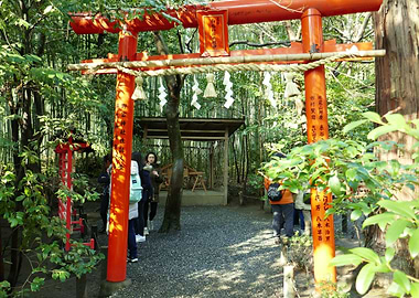 Arashiyama torii