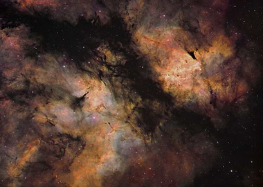 Sadr Nebula