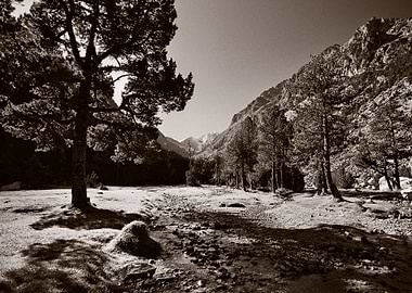 Pyranees Valley scene