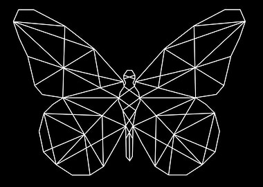 linear butterfly