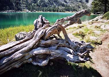 Pyrenees Lake 5