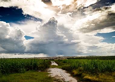 Rural landscape with sky