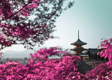 Kiyomizudera infrared