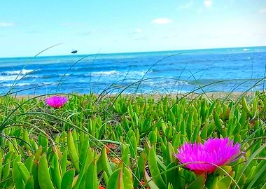 Landscape oceanic coast