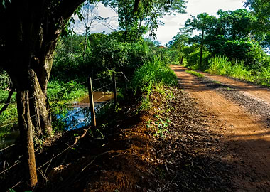 Rural road with river
